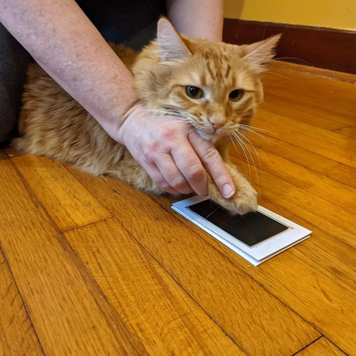 Hand print Ink pad for Pet and Owners